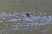 IMG_8191_2005-07-20 