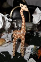 IMG_9306_2008-01-25