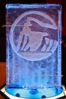 IMG_9324_2008-01-25