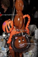 IMG_9341_2008-01-25