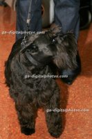 IMG_9295_20071213