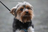 IMG_0353_2007-08-02