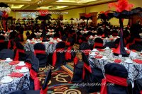 GAD_9577_2008-02-16