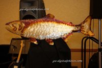 GAD_9607_2008-02-16