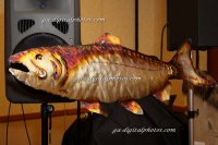 GAD_9608_2008-02-16