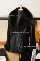 GAD_9684_2008-02-16
