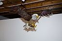 IMG_1203
