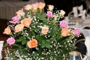 GAD_8811_2006-01-27 