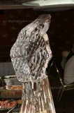 IMG_0718_2005-07-30 