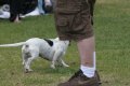 IMG_7038_2005-06-11 